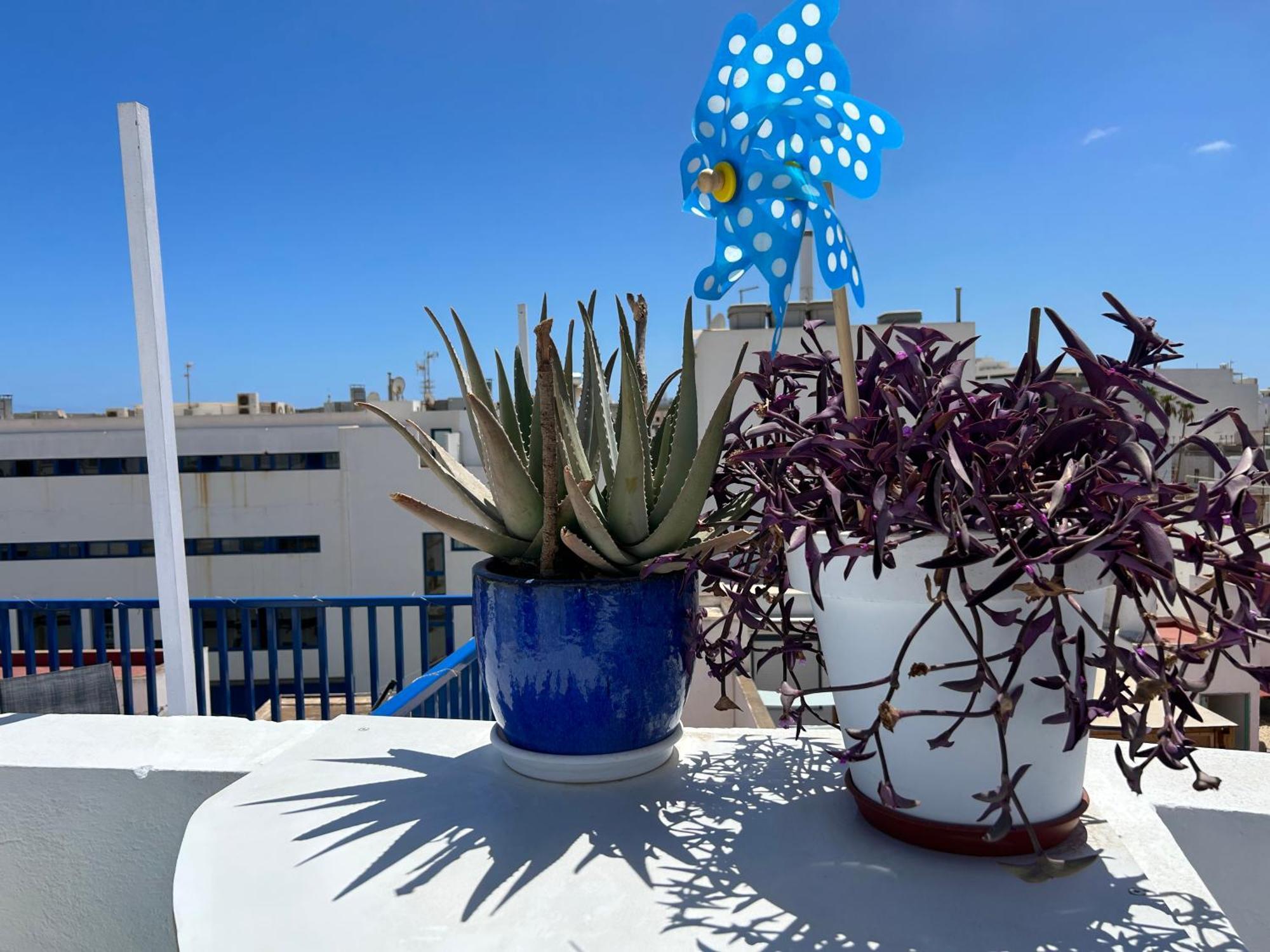 La Buganvilla Rooms Arrecife  Εξωτερικό φωτογραφία