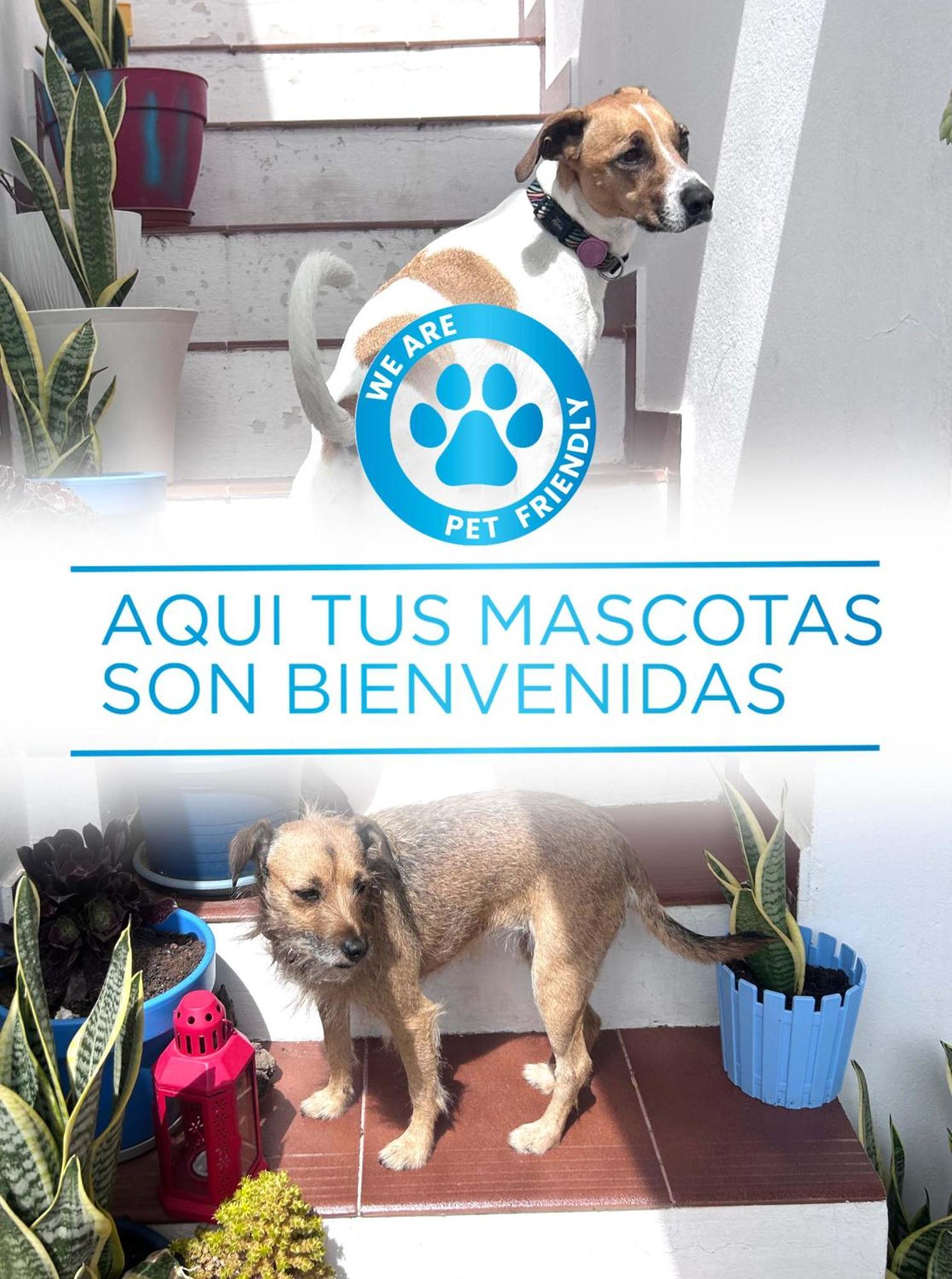 La Buganvilla Rooms Arrecife  Εξωτερικό φωτογραφία