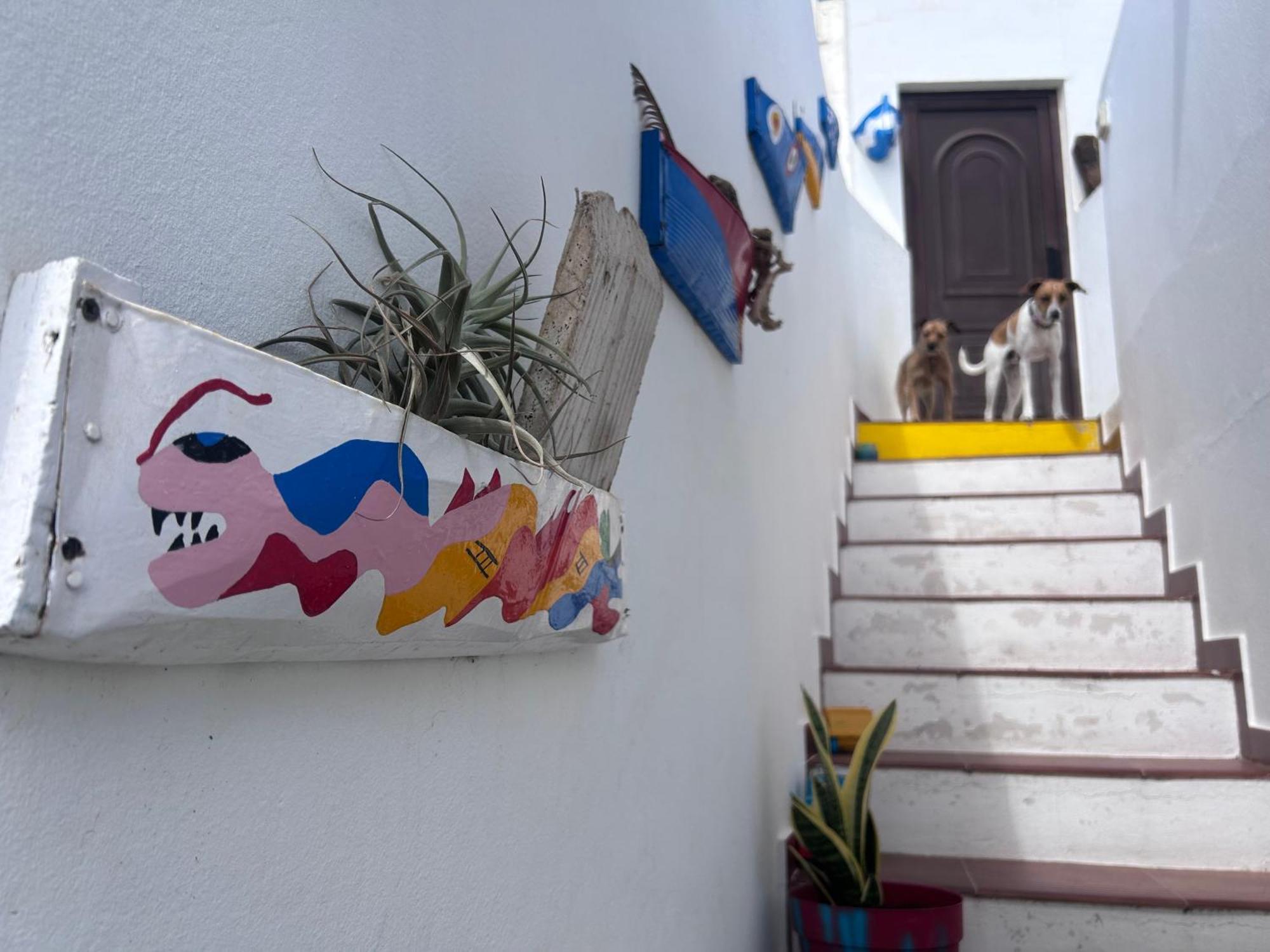 La Buganvilla Rooms Arrecife  Εξωτερικό φωτογραφία
